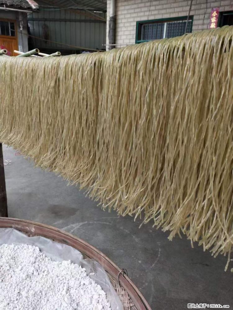 【灌阳正宗红薯粉】美女家里自己做的,干净卫生,假一赔十,价格合理,抢购电话:13737312895 - 美食天地 - 阳泉生活社区 - 阳泉28生活网 yq.28life.com