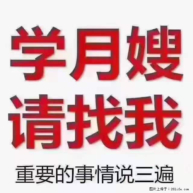 为什么要学习月嫂，育婴师？ - 其他广告 - 广告专区 - 阳泉分类信息 - 阳泉28生活网 yq.28life.com