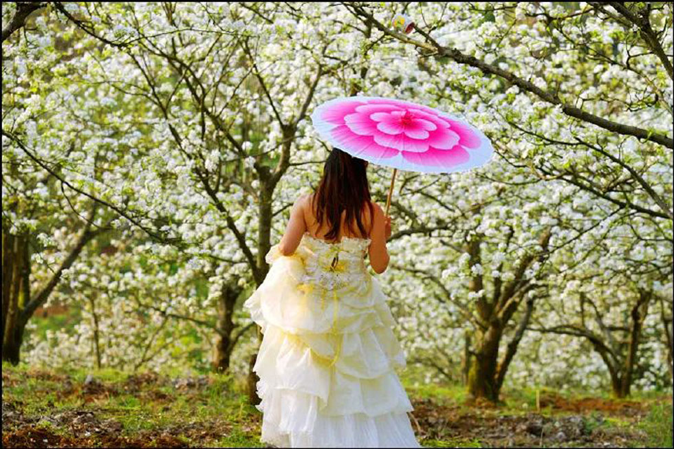 【春天,广西桂林灌阳县向您发出邀请!】我们在灌阳看梨花 - 游山玩水 - 阳泉生活社区 - 阳泉28生活网 yq.28life.com