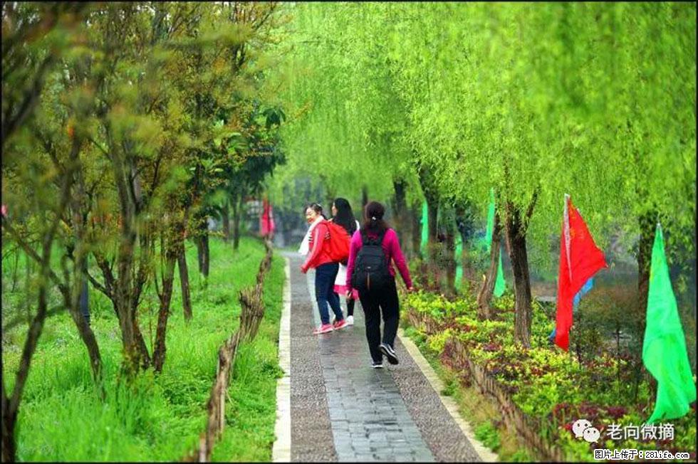 【春天,广西桂林灌阳县向您发出邀请!】江口老街又逢春 - 游山玩水 - 阳泉生活社区 - 阳泉28生活网 yq.28life.com