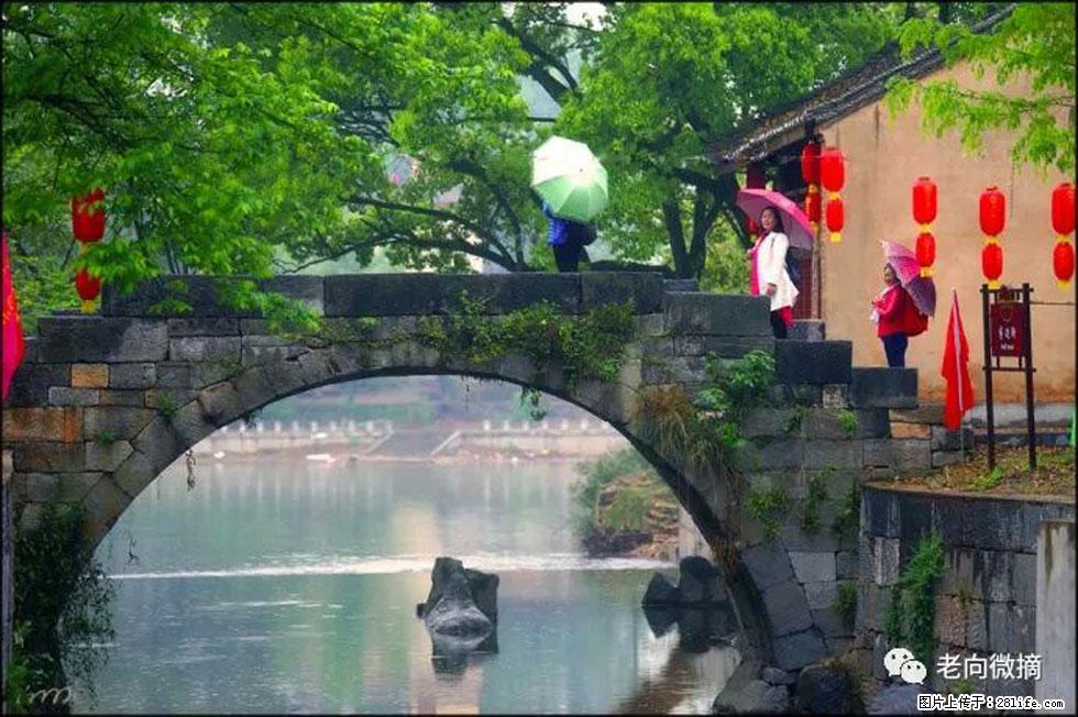 【春天,广西桂林灌阳县向您发出邀请!】江口老街又逢春 - 游山玩水 - 阳泉生活社区 - 阳泉28生活网 yq.28life.com