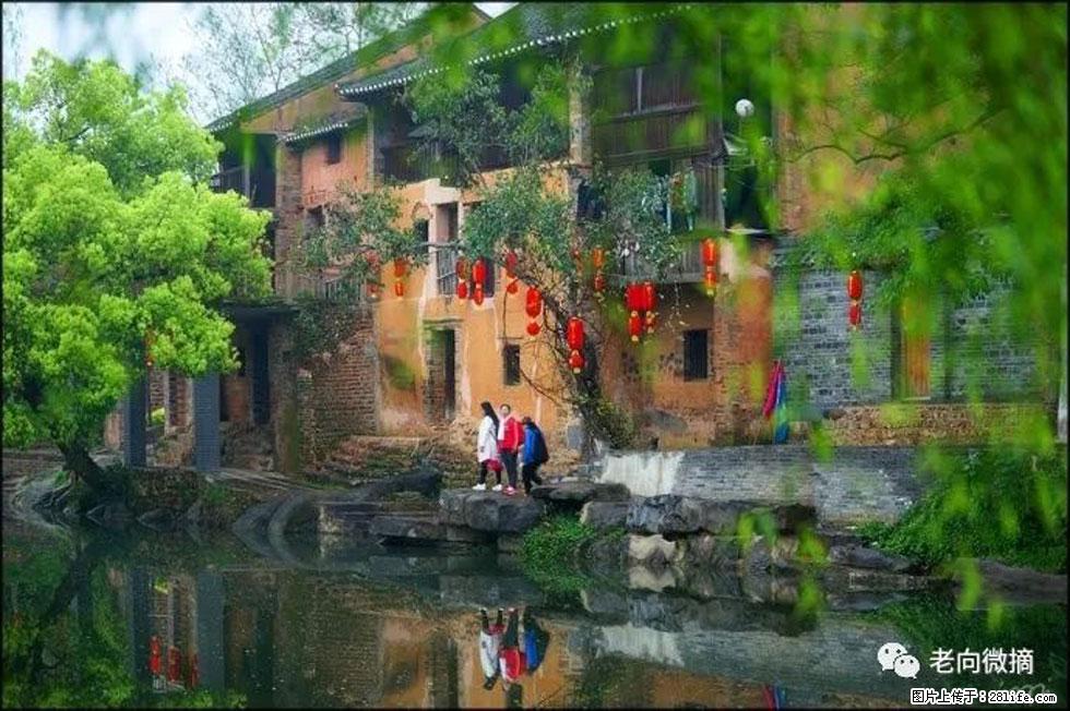 【春天,广西桂林灌阳县向您发出邀请!】江口老街又逢春 - 游山玩水 - 阳泉生活社区 - 阳泉28生活网 yq.28life.com