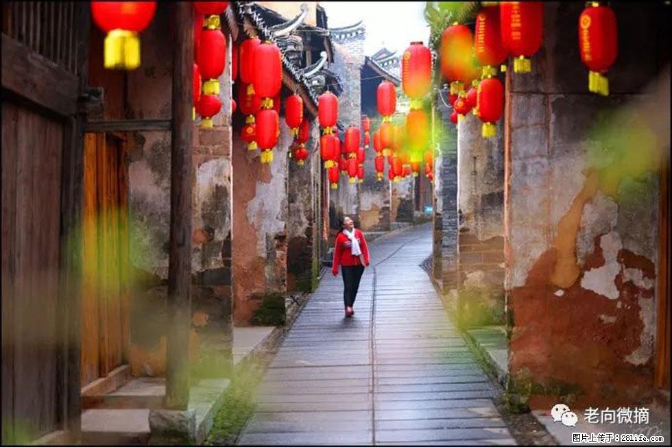 【春天,广西桂林灌阳县向您发出邀请!】江口老街又逢春 - 游山玩水 - 阳泉生活社区 - 阳泉28生活网 yq.28life.com