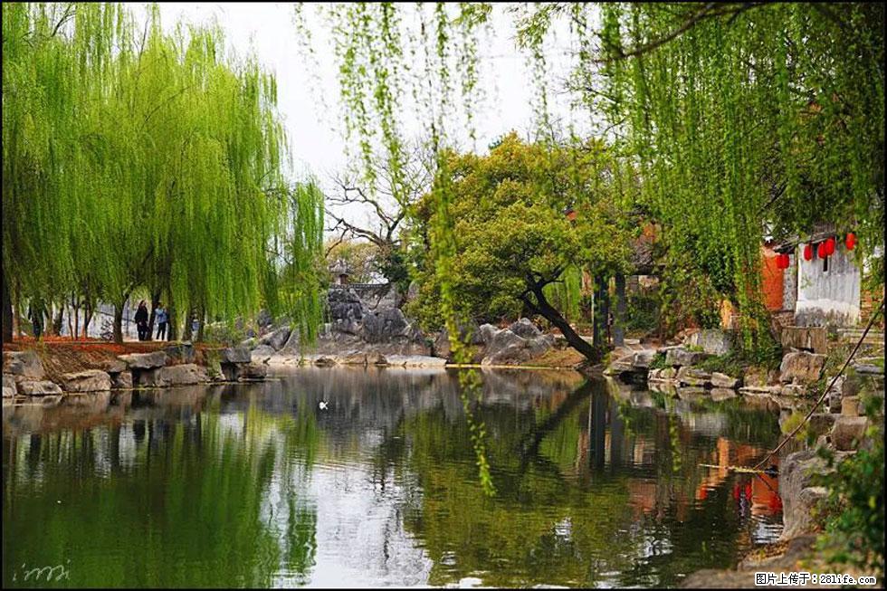 【春天,广西桂林灌阳县向您发出邀请!】江口老街又逢春 - 游山玩水 - 阳泉生活社区 - 阳泉28生活网 yq.28life.com