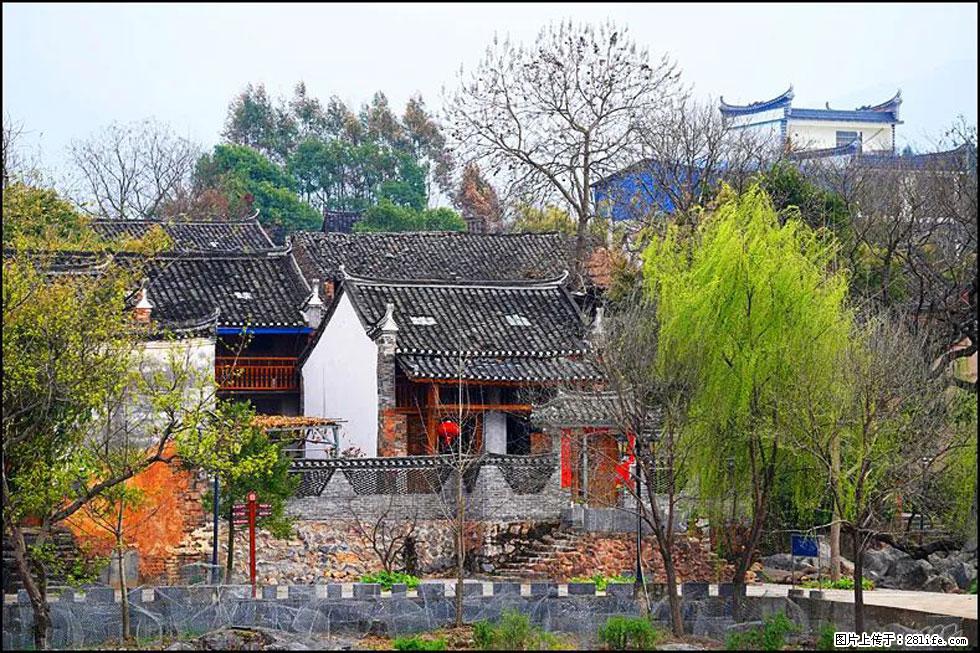 【春天,广西桂林灌阳县向您发出邀请!】江口老街又逢春 - 游山玩水 - 阳泉生活社区 - 阳泉28生活网 yq.28life.com