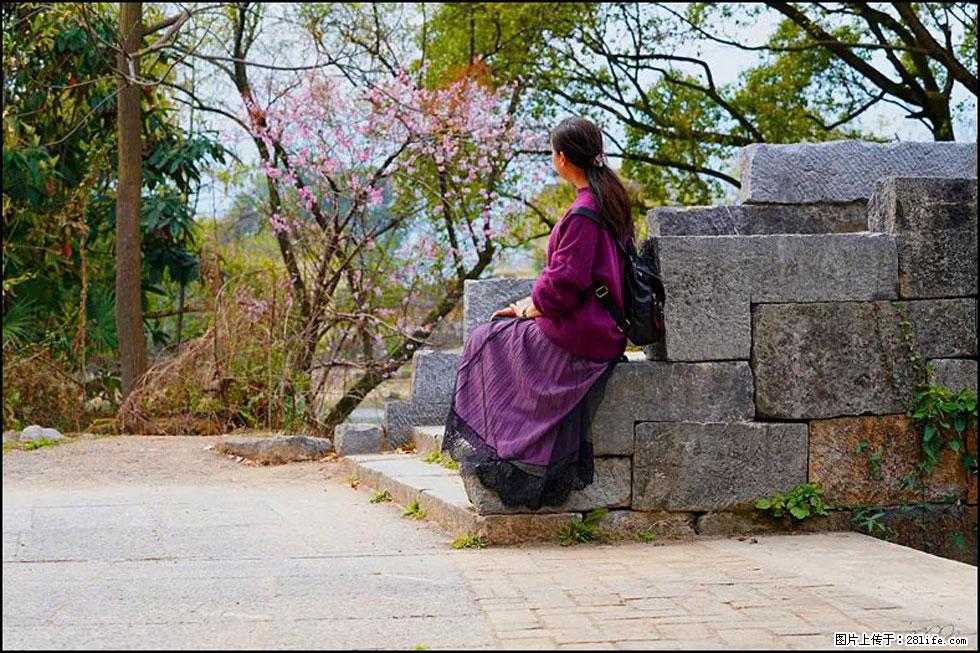 【春天,广西桂林灌阳县向您发出邀请!】江口老街又逢春 - 游山玩水 - 阳泉生活社区 - 阳泉28生活网 yq.28life.com