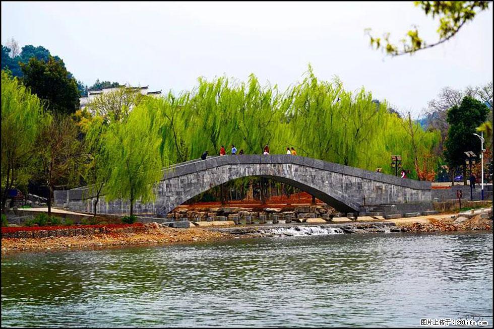 【春天,广西桂林灌阳县向您发出邀请!】江口老街又逢春 - 游山玩水 - 阳泉生活社区 - 阳泉28生活网 yq.28life.com