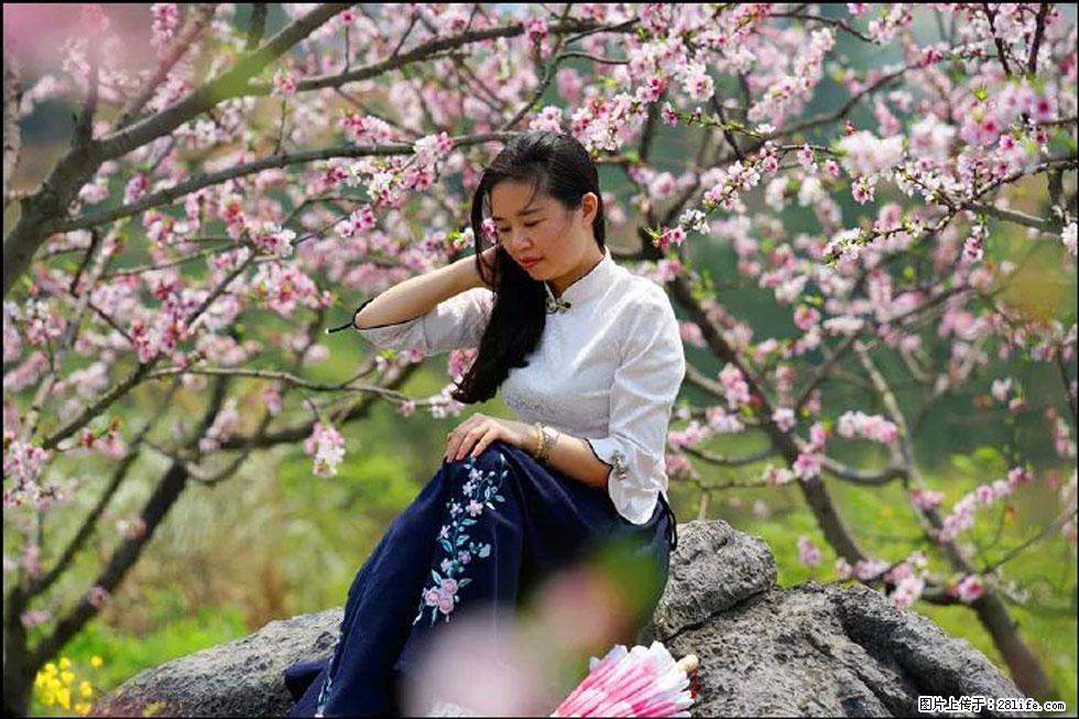 【春天,广西桂林灌阳县向您发出邀请!】望月岭上桃花开 - 游山玩水 - 阳泉生活社区 - 阳泉28生活网 yq.28life.com