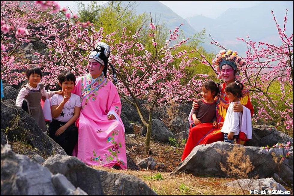 【春天,广西桂林灌阳县向您发出邀请!】望月岭上桃花开 - 游山玩水 - 阳泉生活社区 - 阳泉28生活网 yq.28life.com