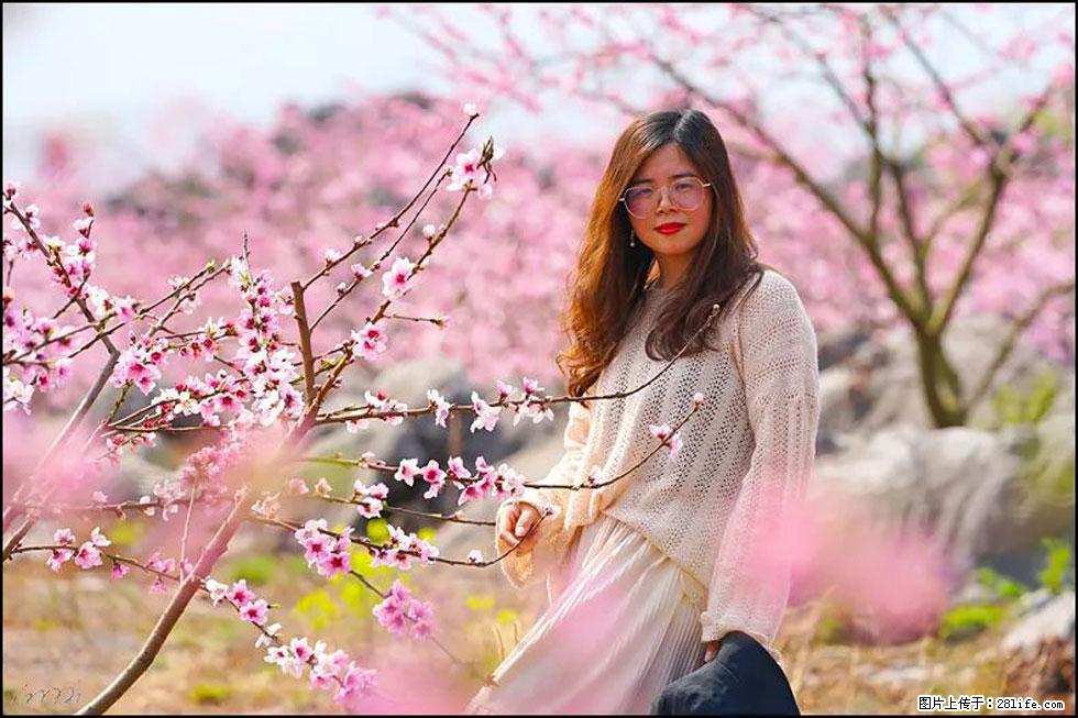 【春天,广西桂林灌阳县向您发出邀请!】望月岭上桃花开 - 游山玩水 - 阳泉生活社区 - 阳泉28生活网 yq.28life.com