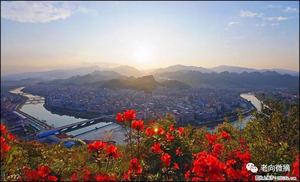【春天,广西桂林灌阳县向您发出邀请!】登麒麟山,相约映山红 - 游山玩水 - 阳泉生活社区 - 阳泉28生活网 yq.28life.com