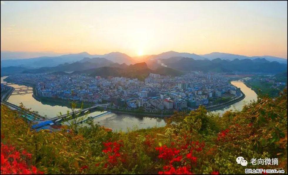 【春天,广西桂林灌阳县向您发出邀请!】登麒麟山,相约映山红 - 游山玩水 - 阳泉生活社区 - 阳泉28生活网 yq.28life.com