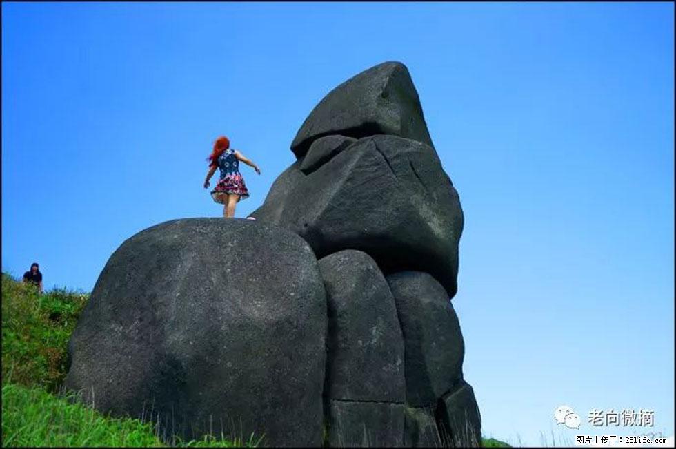 【春天,广西桂林灌阳县向您发出邀请!】宝盖山上映山红 - 游山玩水 - 阳泉生活社区 - 阳泉28生活网 yq.28life.com