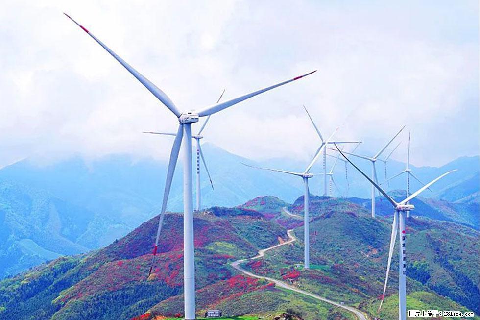 【春天,广西桂林灌阳县向您发出邀请!】春木界上映山红 - 游山玩水 - 阳泉生活社区 - 阳泉28生活网 yq.28life.com