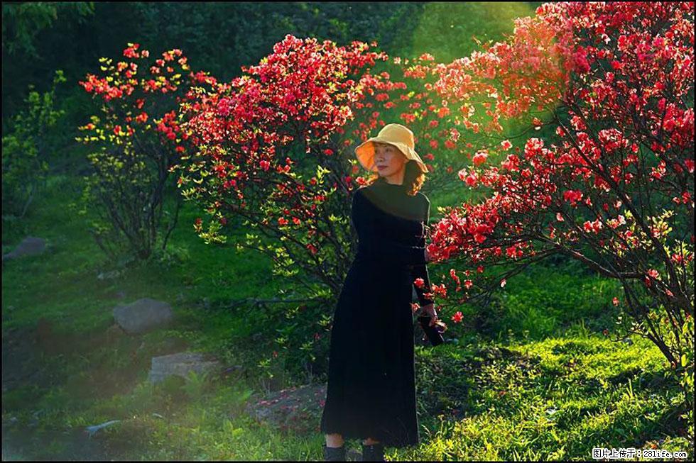 【春天,广西桂林灌阳县向您发出邀请!】春木界上映山红 - 游山玩水 - 阳泉生活社区 - 阳泉28生活网 yq.28life.com