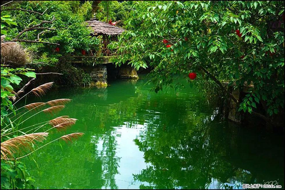【春天,广西桂林灌阳县向您发出邀请!】如梦似幻莲溪庐 - 游山玩水 - 阳泉生活社区 - 阳泉28生活网 yq.28life.com