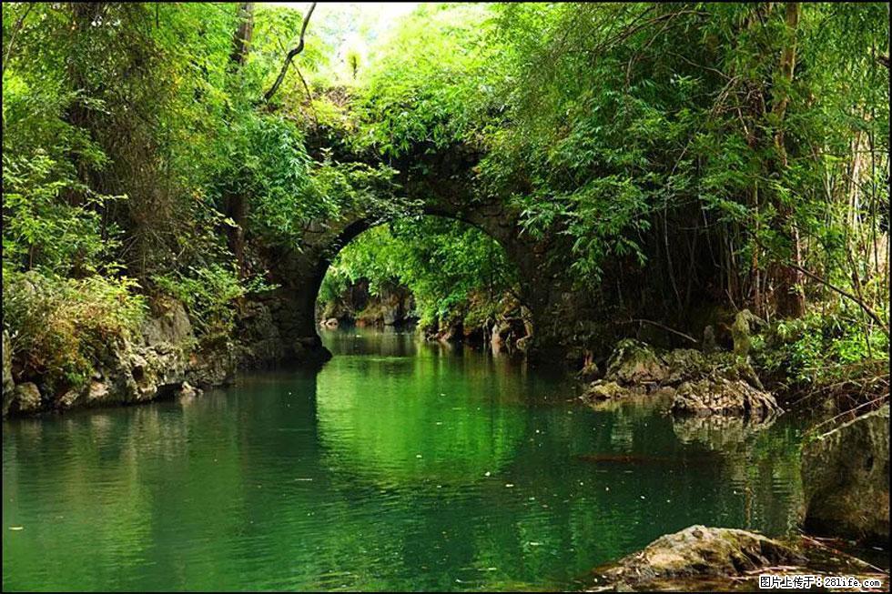 【春天,广西桂林灌阳县向您发出邀请!】如梦似幻莲溪庐 - 游山玩水 - 阳泉生活社区 - 阳泉28生活网 yq.28life.com