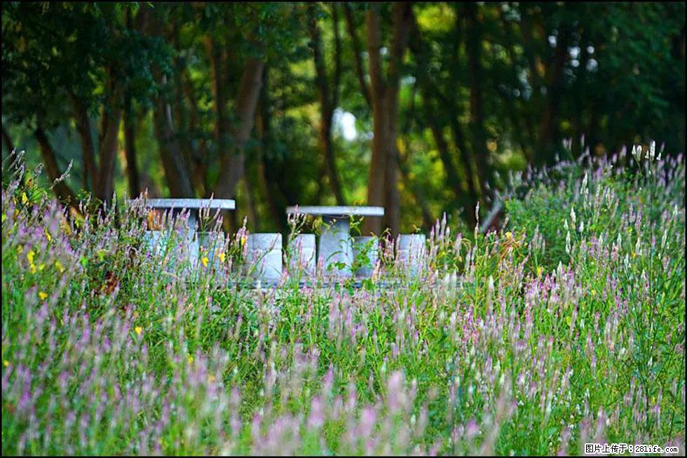 【春天,广西桂林灌阳县向您发出邀请!】熊家寨湿地公园 - 游山玩水 - 阳泉生活社区 - 阳泉28生活网 yq.28life.com