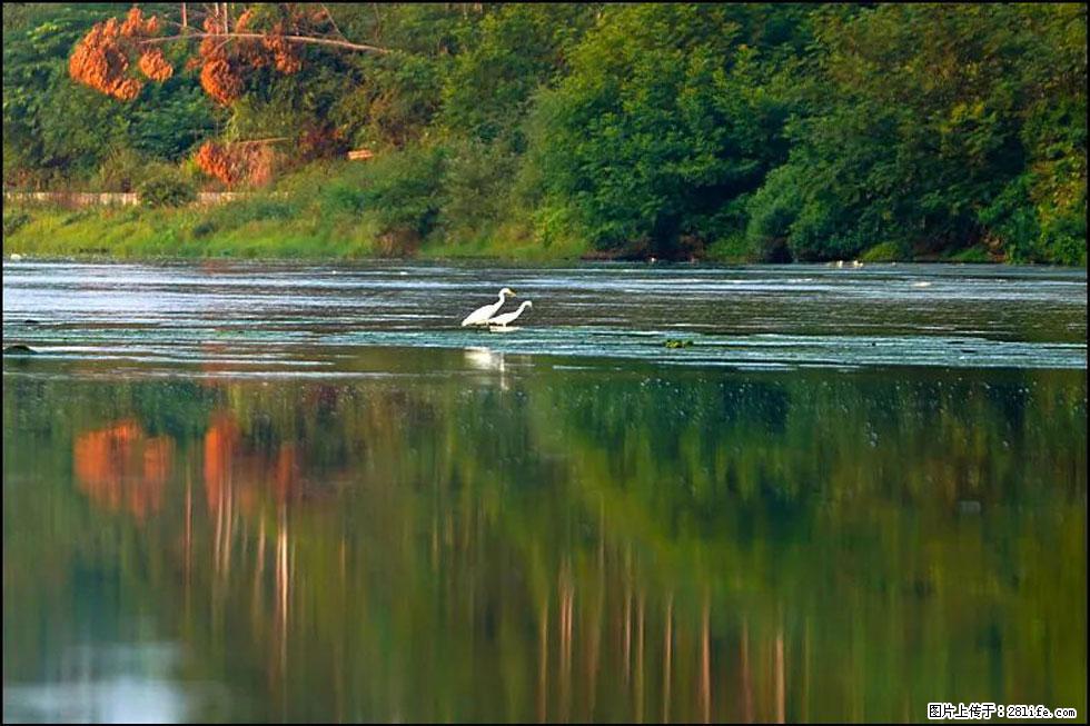 【春天,广西桂林灌阳县向您发出邀请!】熊家寨湿地公园 - 游山玩水 - 阳泉生活社区 - 阳泉28生活网 yq.28life.com