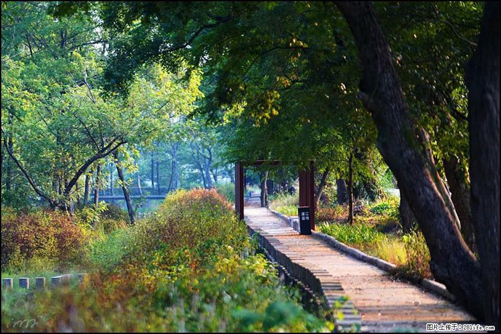 【春天,广西桂林灌阳县向您发出邀请!】熊家寨湿地公园 - 游山玩水 - 阳泉生活社区 - 阳泉28生活网 yq.28life.com