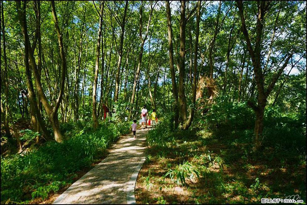 【春天,广西桂林灌阳县向您发出邀请!】熊家寨湿地公园 - 游山玩水 - 阳泉生活社区 - 阳泉28生活网 yq.28life.com