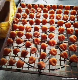 广西桂林平乐桥亭【柿饼之乡】2025年纯手工制作、无任何添加剂的第一批柿饼准备上市了，欢迎联系订购！ - 阳泉28生活网 yq.28life.com