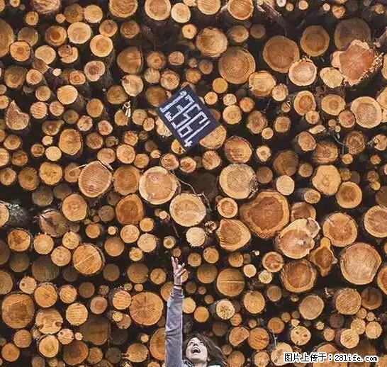 辞掉工作周游世界？现在他们在洗厕所…… - 游山玩水 - 阳泉生活社区 - 阳泉28生活网 yq.28life.com