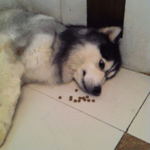 笑癫了!一女的怀孕三年未生,他终于忍不住了... - 娱乐八卦 - 阳泉生活社区 - 阳泉28生活网 yq.28life.com