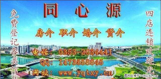 凤凰城,化工厂,梧桐苑,上站小学,油娄沟多套房出租 - 房屋出租 - 房屋租售 - 阳泉分类信息 - 阳泉28生活网 yq.28life.com