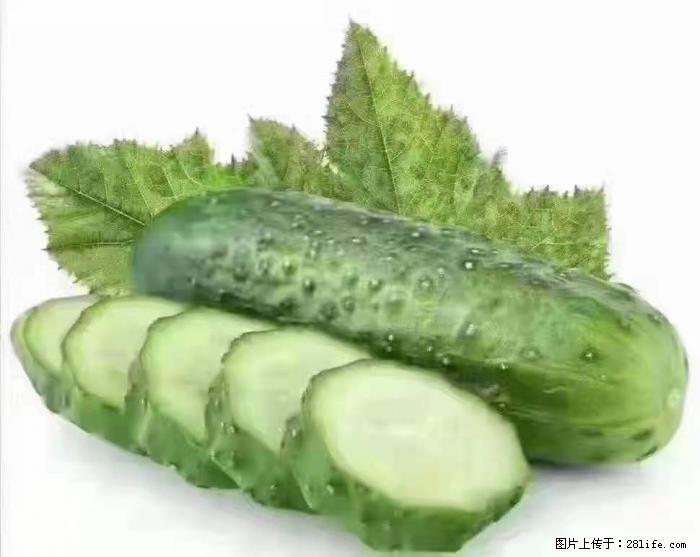 【生活小常识】吃黄瓜的好处 - 生活百科 - 阳泉生活社区 - 阳泉28生活网 yq.28life.com