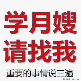 【招聘】月嫂，上海徐汇区 - 阳泉28生活网 yq.28life.com