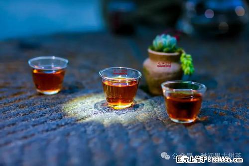 时间果百年古树2025年春红茶 - 购物交流 - 阳泉生活社区 - 阳泉28生活网 yq.28life.com