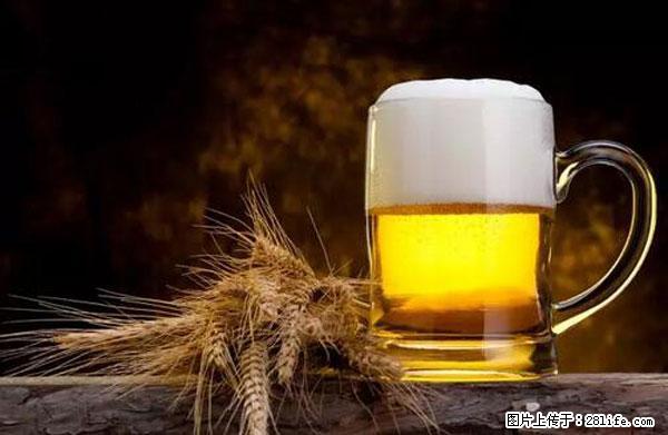 原来它这么毒，然而竟然满大街都是.... - 阳泉生活资讯 - 阳泉28生活网 yq.28life.com