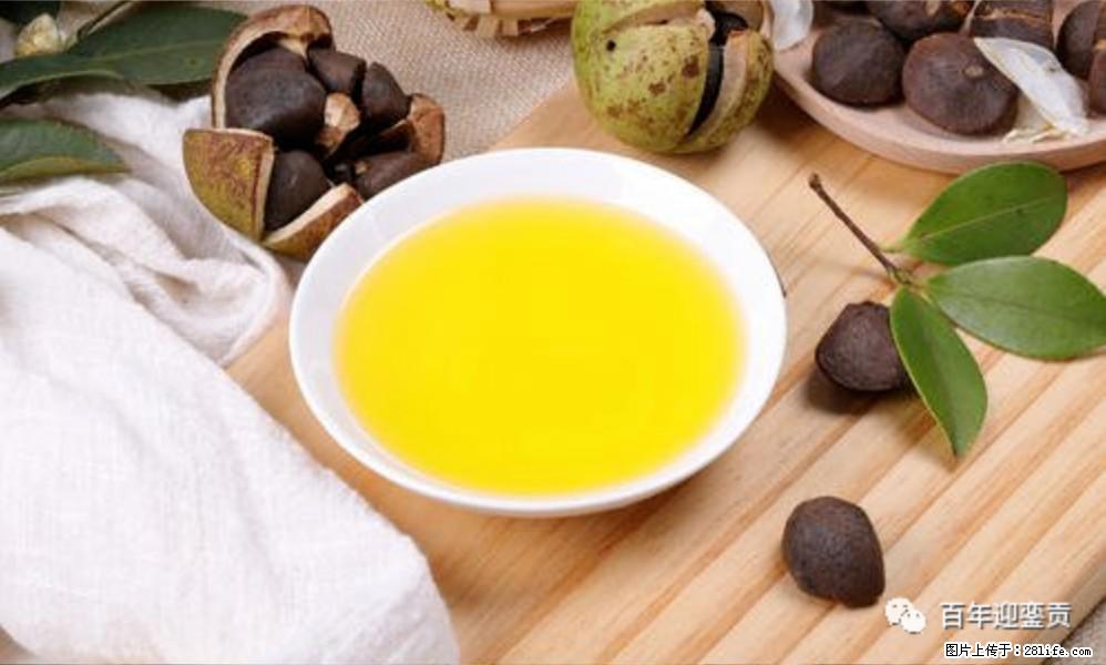 揭秘茶油的5大核心营养成分！被称为人体健康的“守护盾”！ - 阳泉生活资讯 - 阳泉28生活网 yq.28life.com