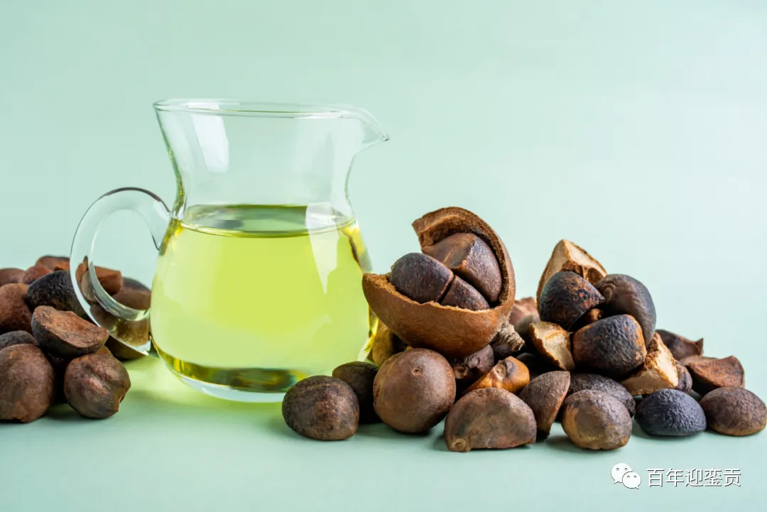 世界没有真相，只有认知，最好的食用油是中国的山茶油！ - 阳泉生活资讯 - 阳泉28生活网 yq.28life.com