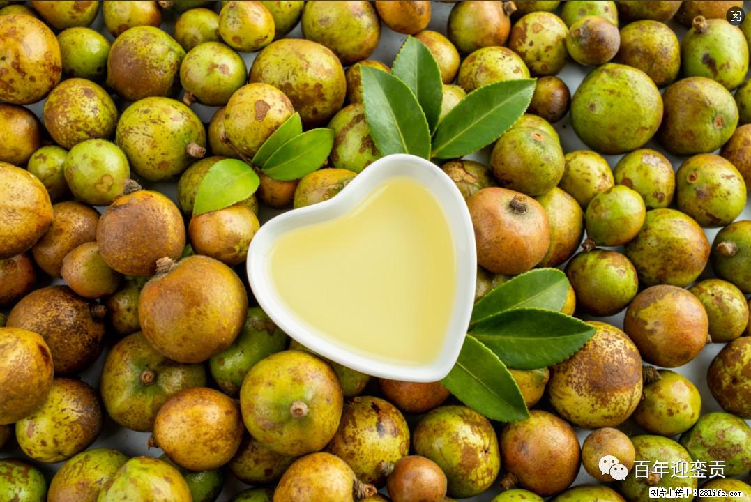 世界没有真相，只有认知，最好的食用油是中国的山茶油！ - 阳泉生活资讯 - 阳泉28生活网 yq.28life.com