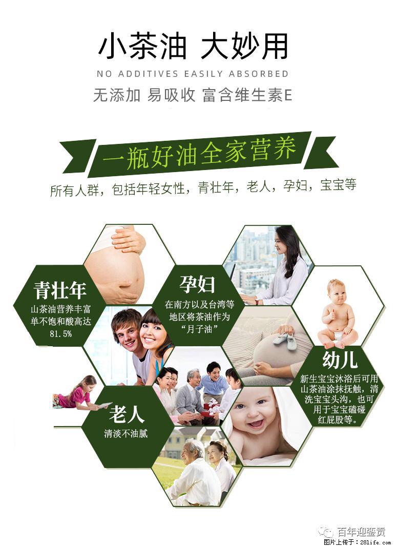 世界没有真相，只有认知，最好的食用油是中国的山茶油！ - 阳泉生活资讯 - 阳泉28生活网 yq.28life.com