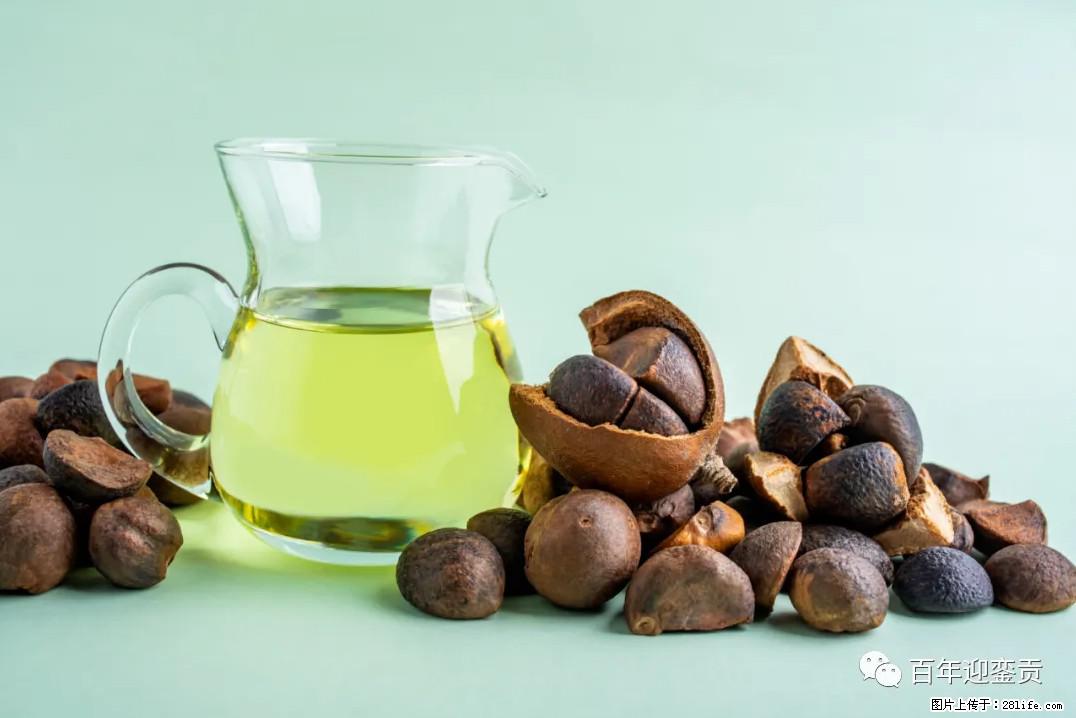 世界没有真相，只有认知，最好的食用油是中国的山茶油！ - 阳泉生活资讯 - 阳泉28生活网 yq.28life.com
