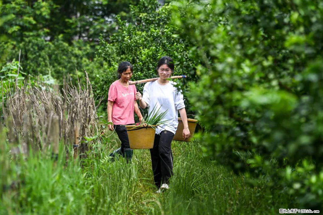 全网追的“扁担女孩”,找了一份暑假工,时薪12元 - 阳泉生活资讯 - 阳泉28生活网 yq.28life.com