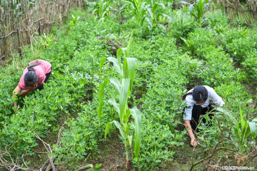 全网追的“扁担女孩”,找了一份暑假工,时薪12元 - 阳泉生活资讯 - 阳泉28生活网 yq.28life.com