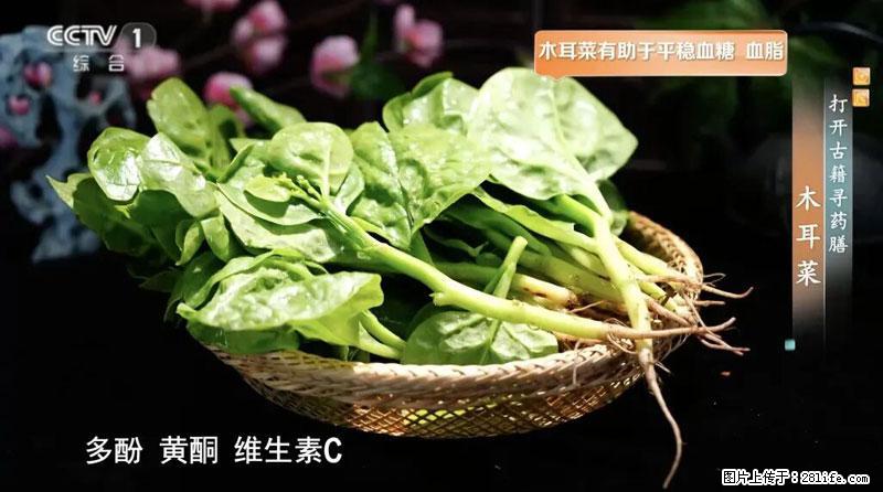 比牛奶补钙还厉害!凉血解毒、稳血糖...这菜冬天必吃,很多人却当草 - 阳泉生活资讯 - 阳泉28生活网 yq.28life.com