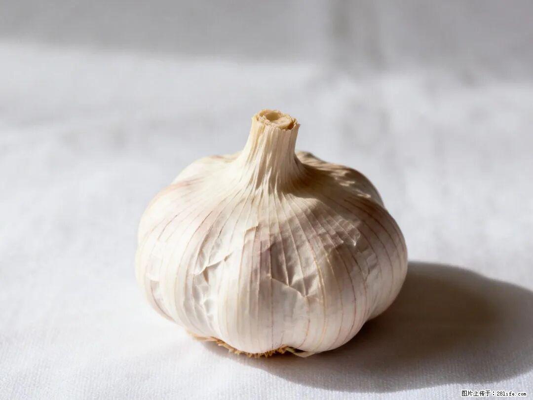 关于大蒜，除了“天然抗生素”，这4个谣言更该警惕! - 阳泉生活资讯 - 阳泉28生活网 yq.28life.com