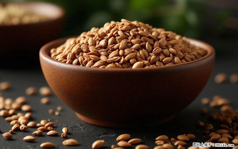 这三苦是三高“克星”，心血管干净不易堵！每天吃一点，指标慢慢降下来~ - 阳泉生活资讯 - 阳泉28生活网 yq.28life.com