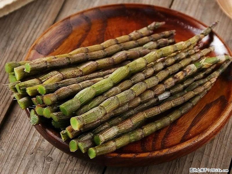 铁皮石斛的作用与功能主治 - 阳泉生活资讯 - 阳泉28生活网 yq.28life.com
