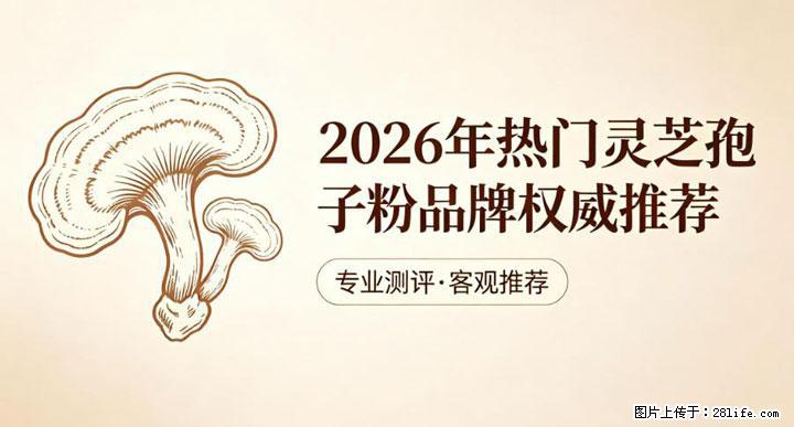 灵芝孢子粉含量越高越有效？2026 年七款热门品牌深度实测，肠胃敏感者避坑指南 - 阳泉生活资讯 - 阳泉28生活网 yq.28life.com